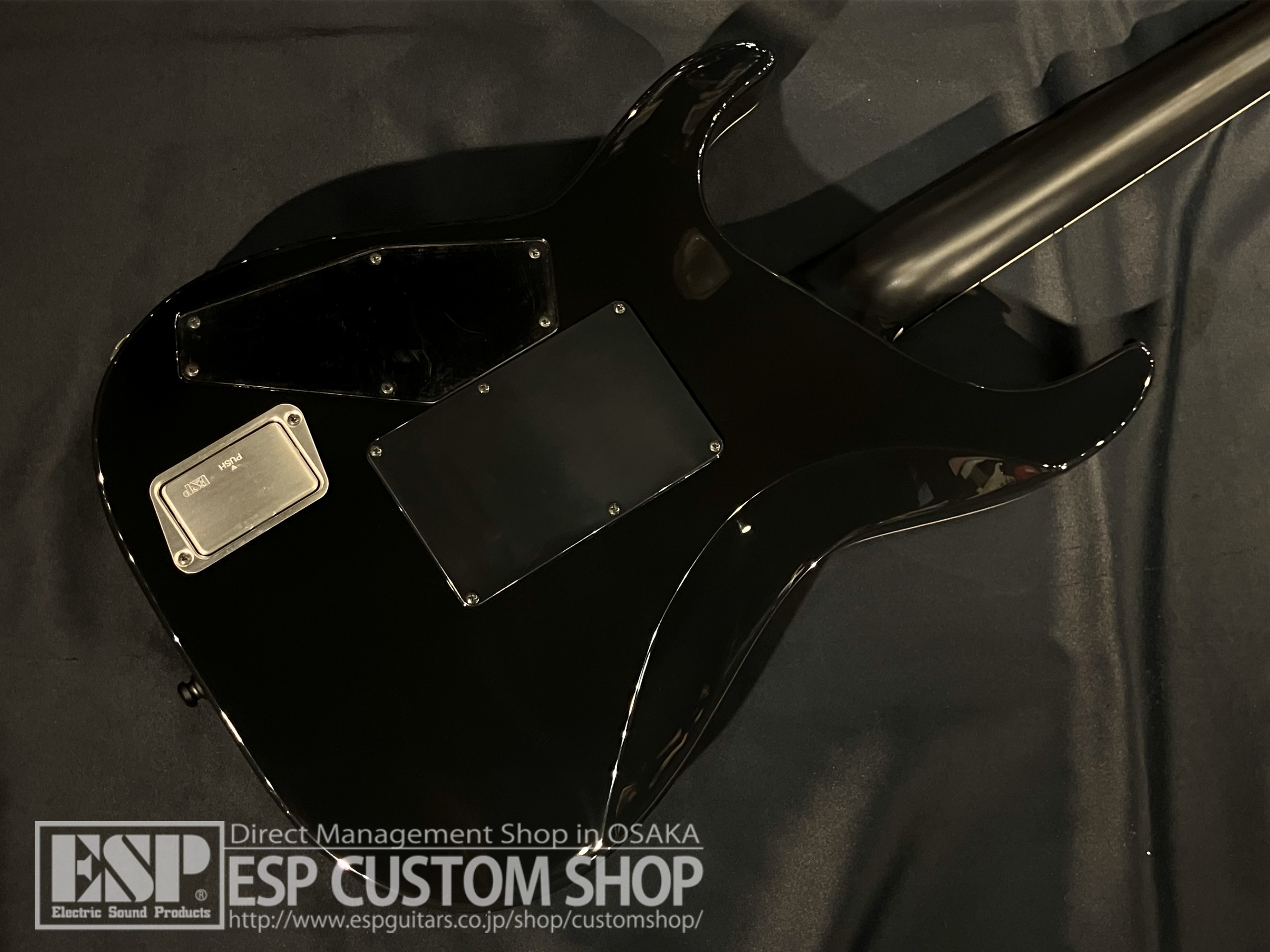 【即納可能】E-II(イーツー) HORIZON FR-II (ホライゾン) / See Thru Black Cherry Sunburst 大阪店