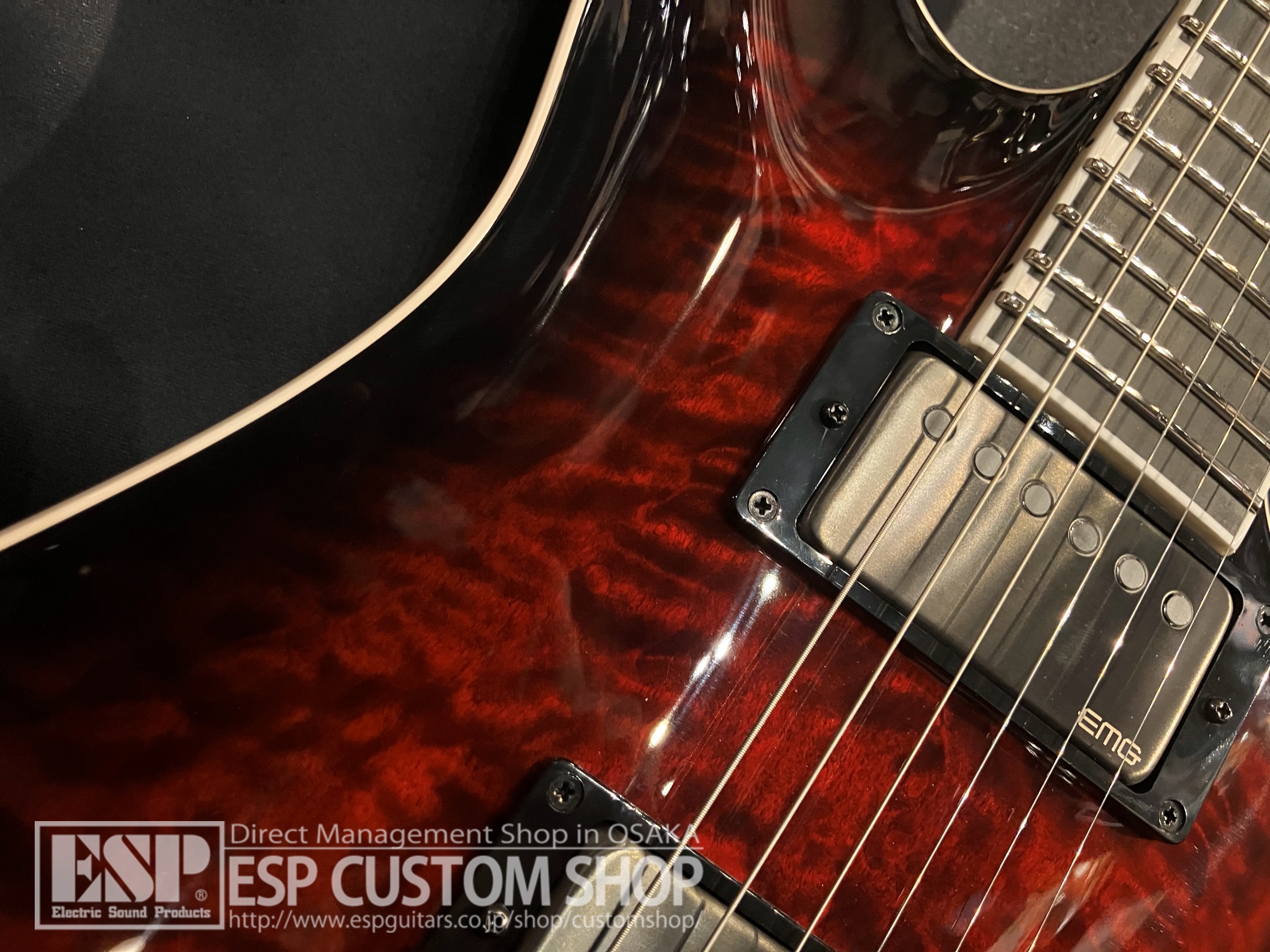 【即納可能】E-II(イーツー) HORIZON FR-II (ホライゾン) / See Thru Black Cherry Sunburst 大阪店