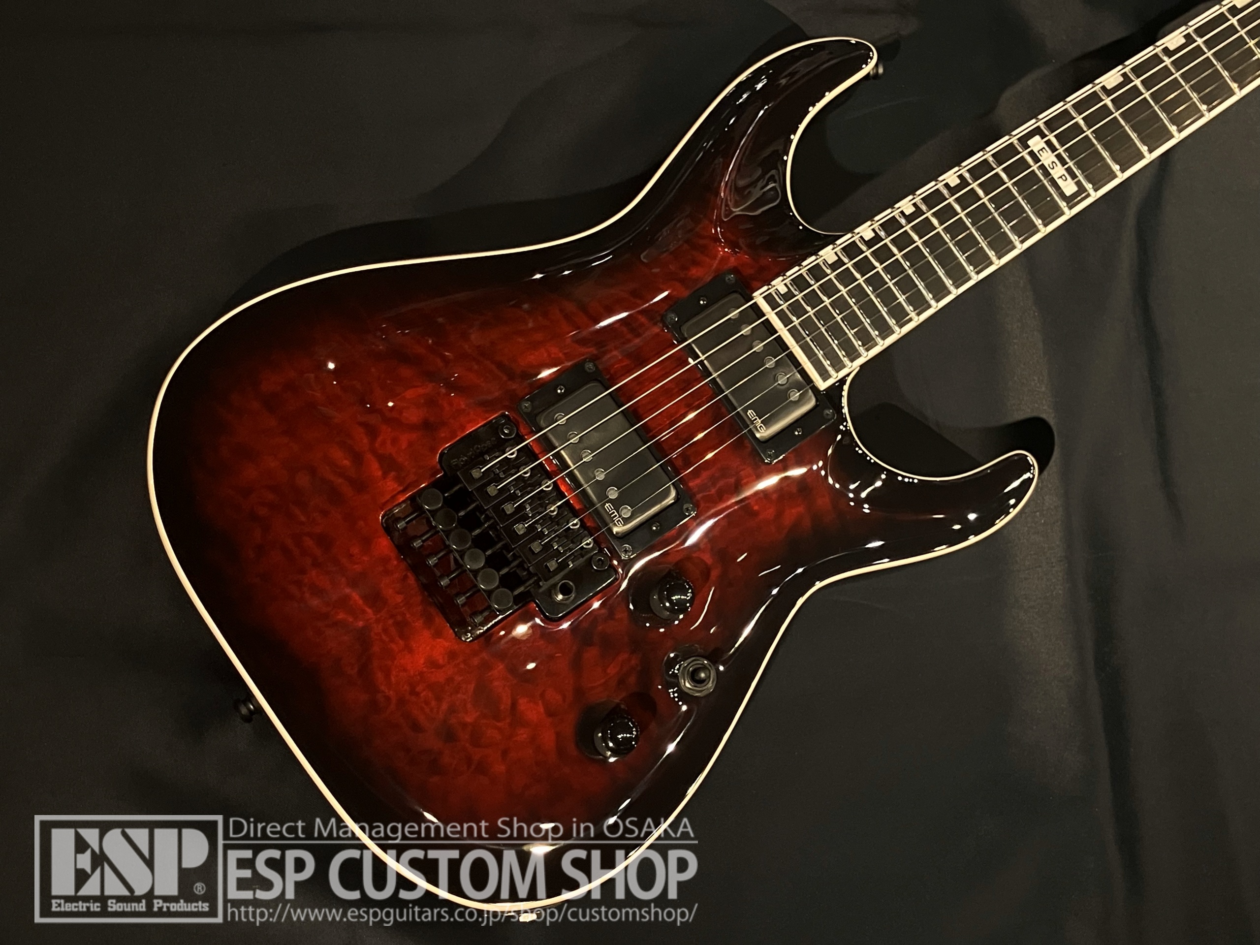 【即納可能】E-II(イーツー) HORIZON FR-II (ホライゾン) / See Thru Black Cherry Sunburst 大阪店