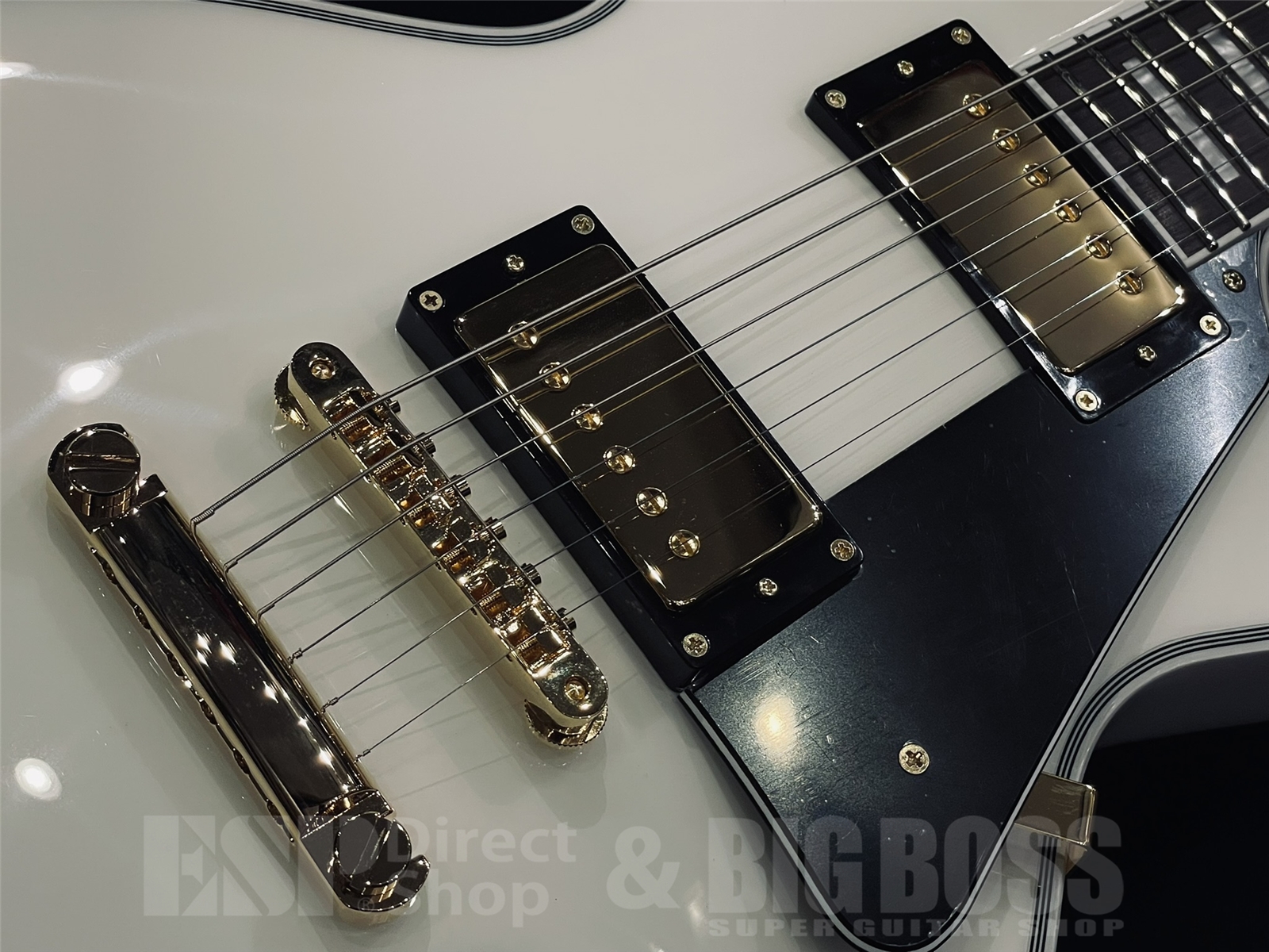 【即納可能】EDWARDS(エドワーズ) E-LP-CTM / White 京都店 - 3
