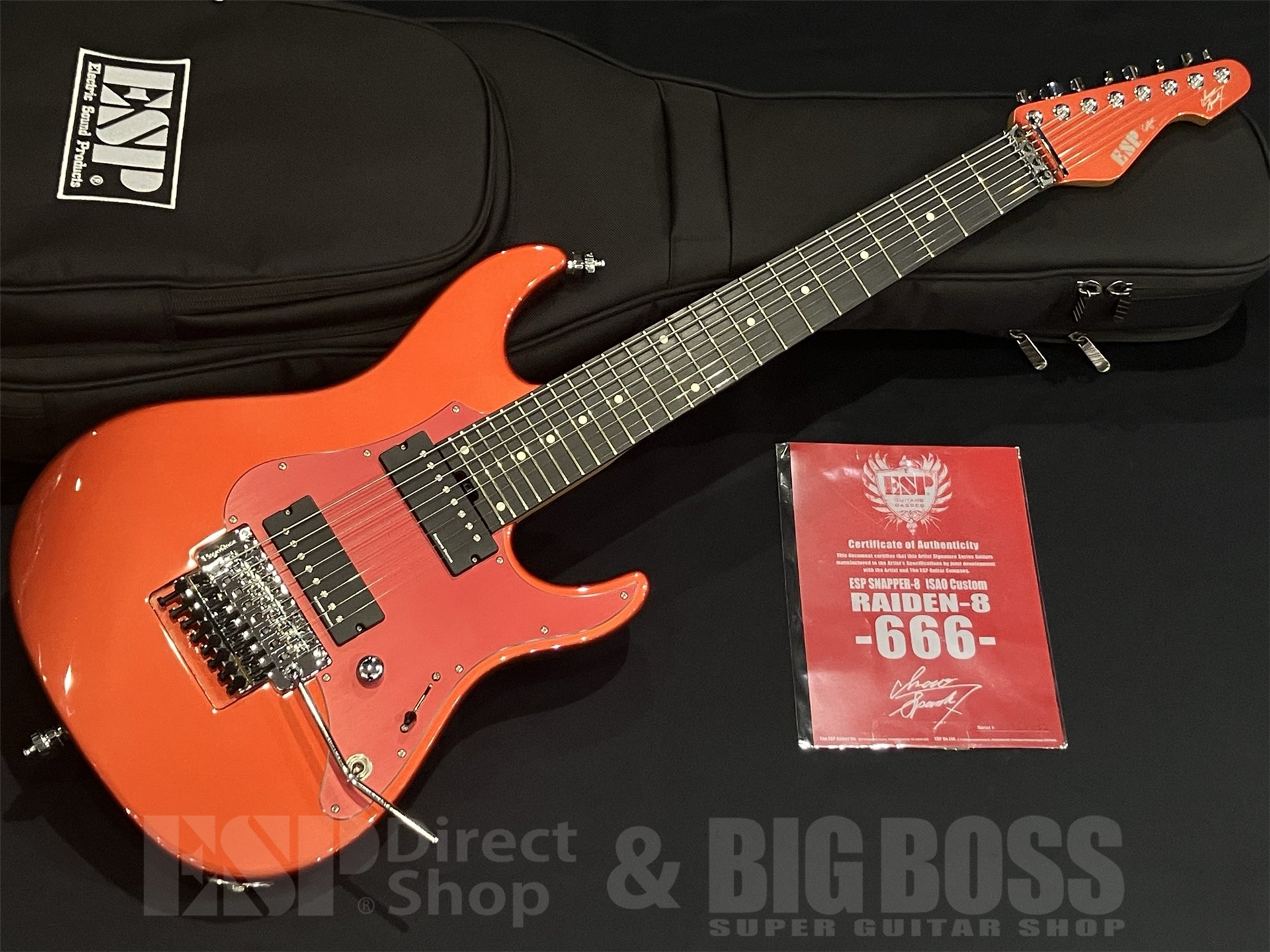 ESP オーダーメードギター　ギグケース付き ESP オーダーメードギターギグケース付き