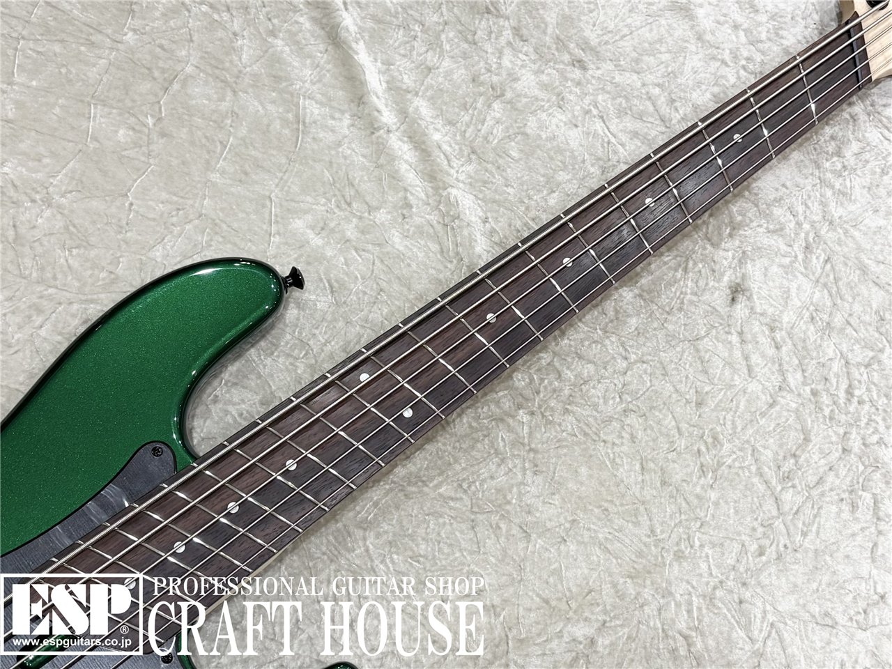 【即納可能】DINGWALL SP-1 5st / Dark Candy Green 渋谷店 - 3
