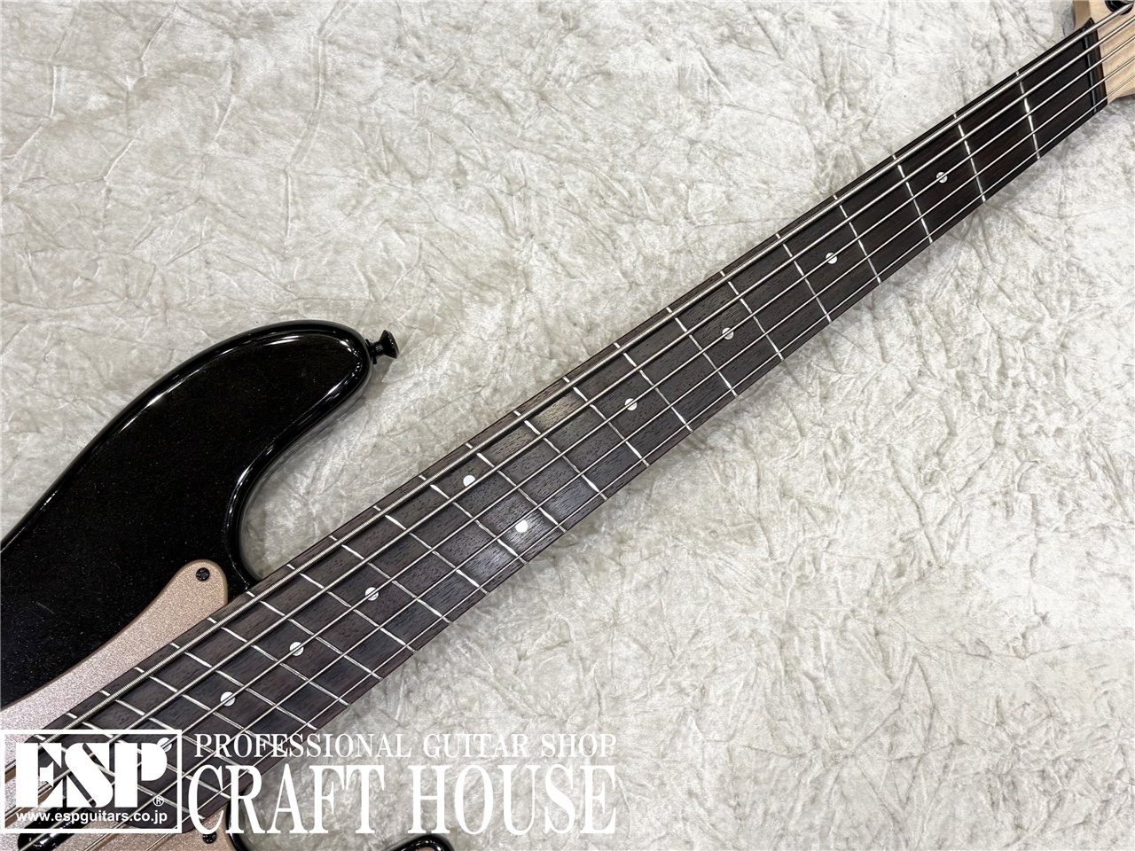 【即納可能】DINGWALL SP-1 5st / Metallic Black 渋谷店 - 3
