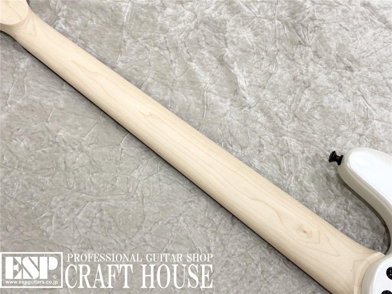 【即納可能】DINGWALL SP-1 5st / Ducati Pearl White 渋谷店 - 7