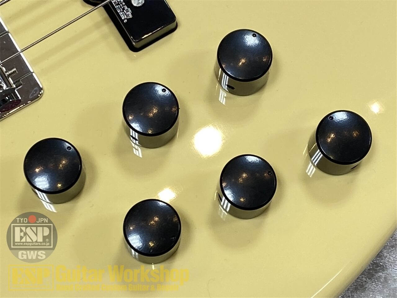 【即納可能】Markbass MAK-B/GV5/C-M CREAM GWS