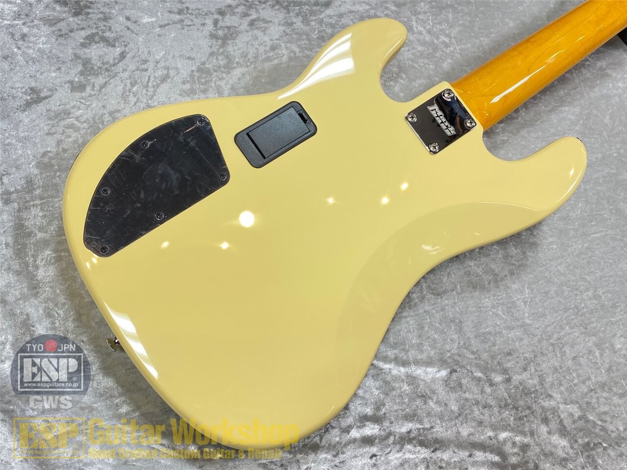 【即納可能】Markbass MAK-B/GV5/C-M CREAM GWS