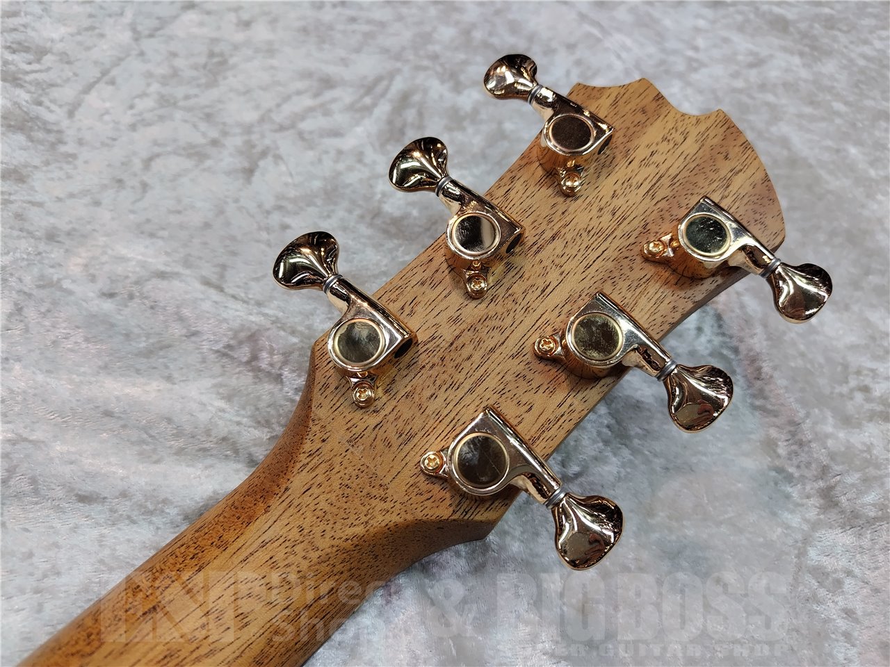 中古品/即納可能】James J-300CII SNT 広島店 - 【ESP直営