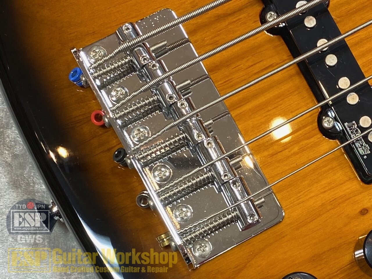 【即納可能】Markbass MAK-B/GV5/C-M TOBACCO SUNBURST GWS