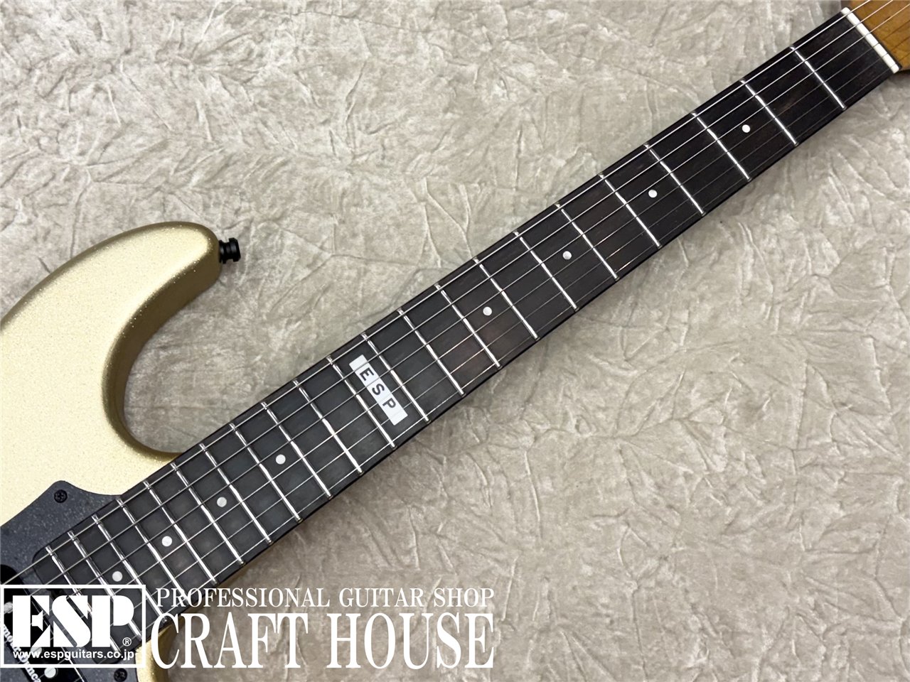 【即納可能】E-II SN-III FLICKER / Champaigne Gold Sparkle　渋谷店 - 3