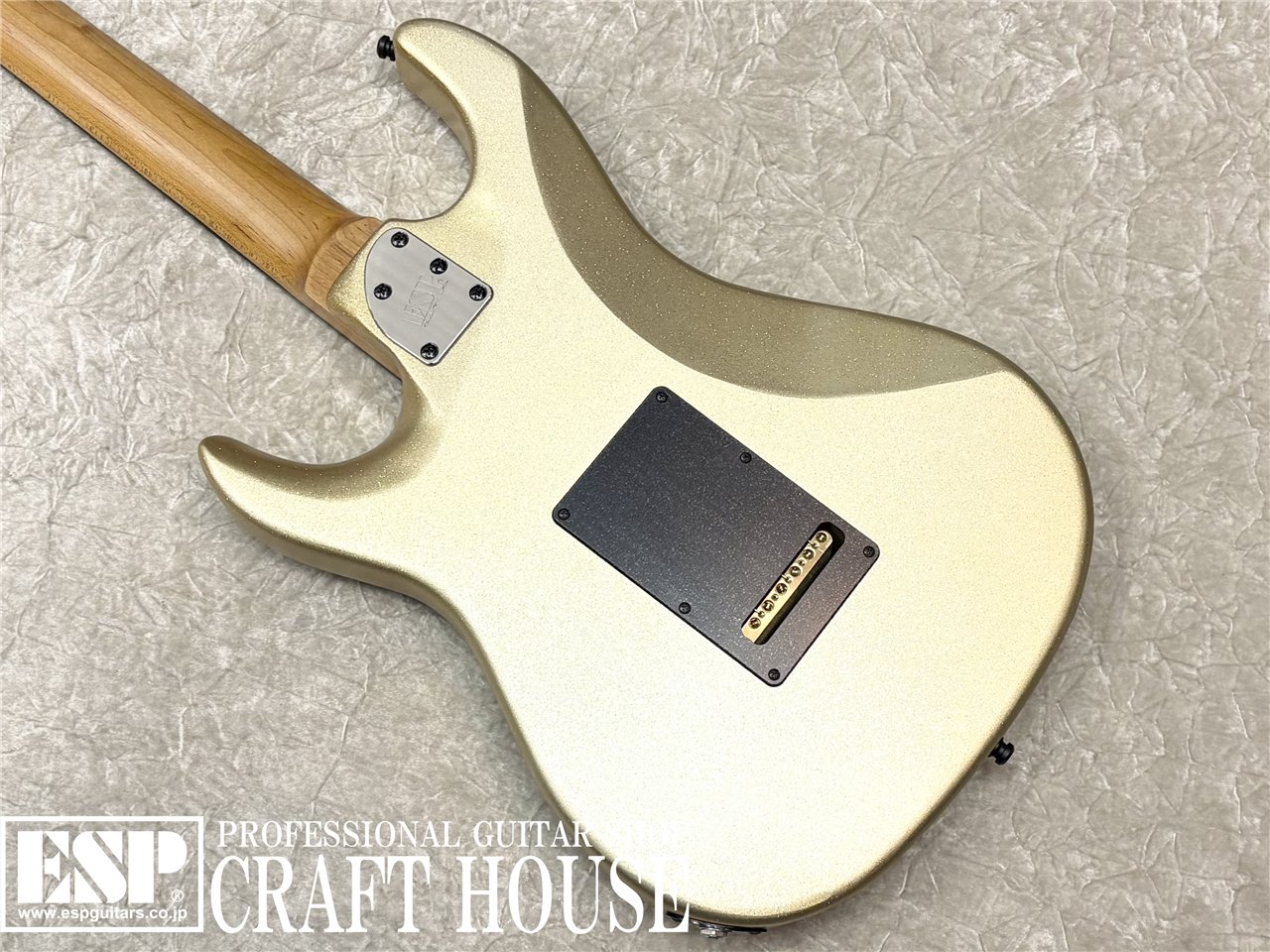 【即納可能】E-II SN-III FLICKER / Champaigne Gold Sparkle　渋谷店 - 6