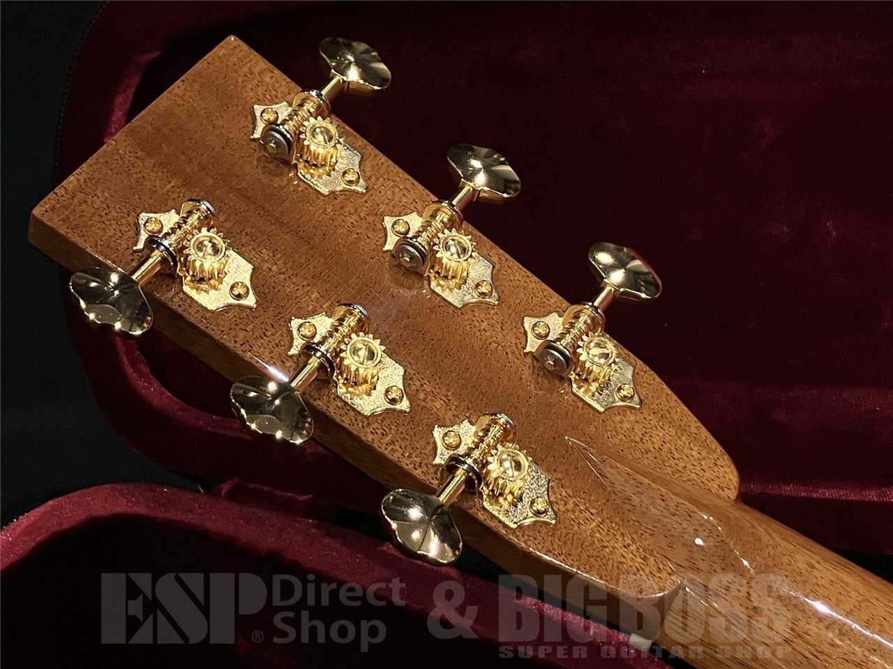 【即納可能】ASTURIAS (アストリアス) E.C. Custom 【Limited Model】 京都店