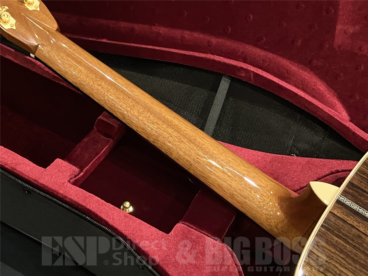 【即納可能】ASTURIAS (アストリアス) E.C. Custom 【Limited Model】 京都店