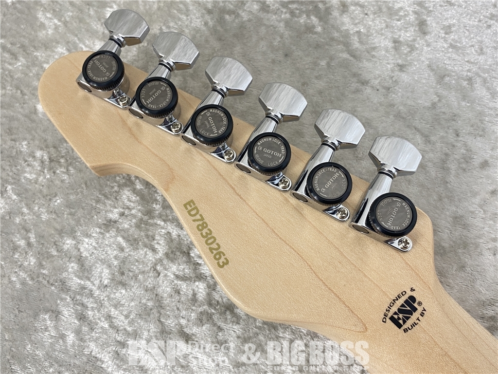 【即納可能】EDWARDS(エドワーズ) E-SNAPPER-AS/M(Turquoise) お茶の水駅前店(東京) - 10