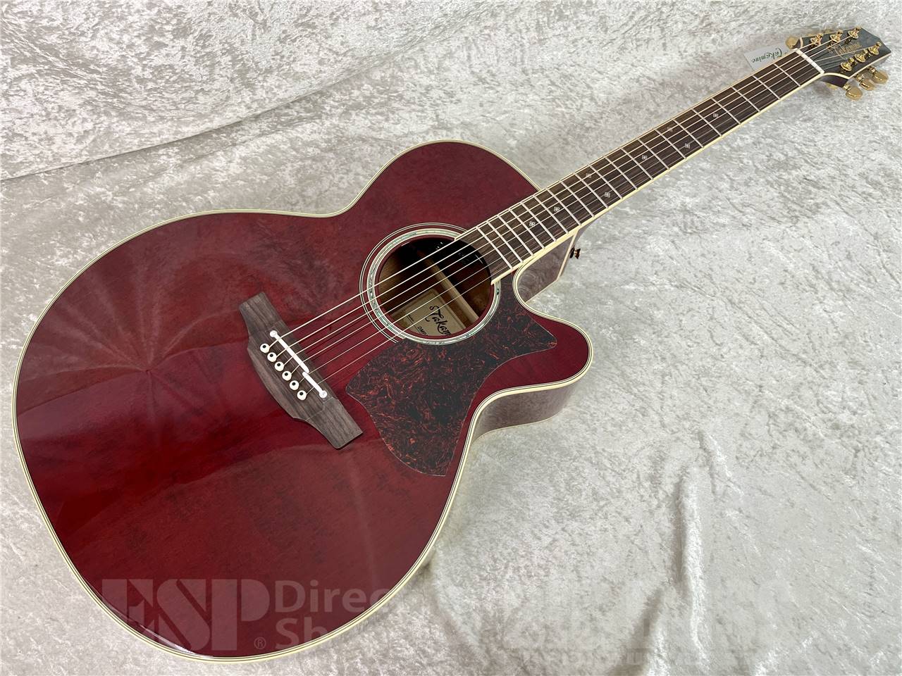 【即納可能】Takamine(タカミネ) DMP551C WR (エレアコ) お茶の水駅前店・別館