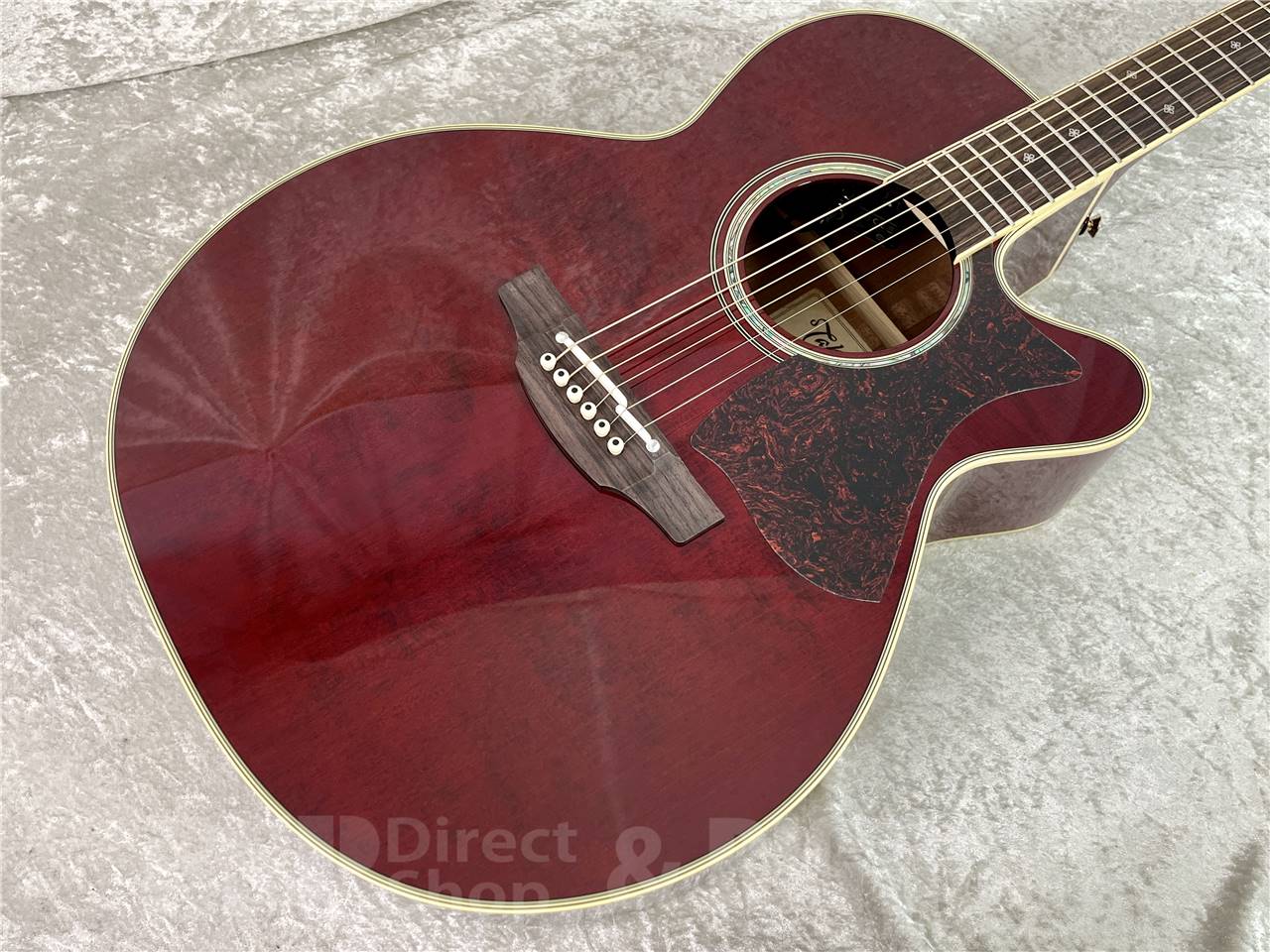 【即納可能】Takamine(タカミネ) DMP551C WR (エレアコ) お茶の水駅前店・別館 - 2