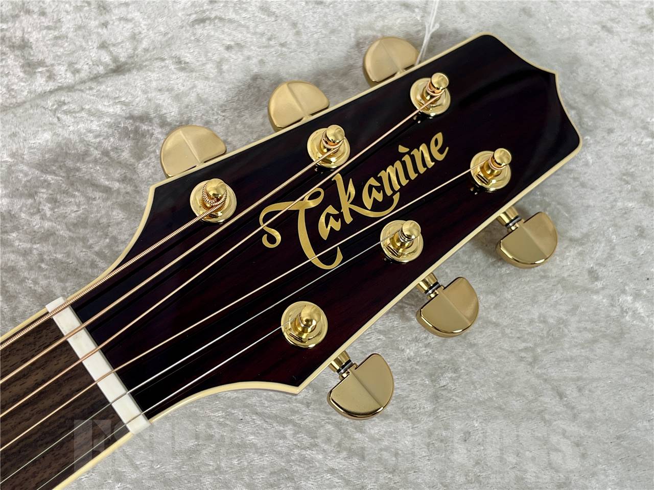 【即納可能】Takamine(タカミネ) DMP551C WR (エレアコ) お茶の水駅前店・別館 - 6