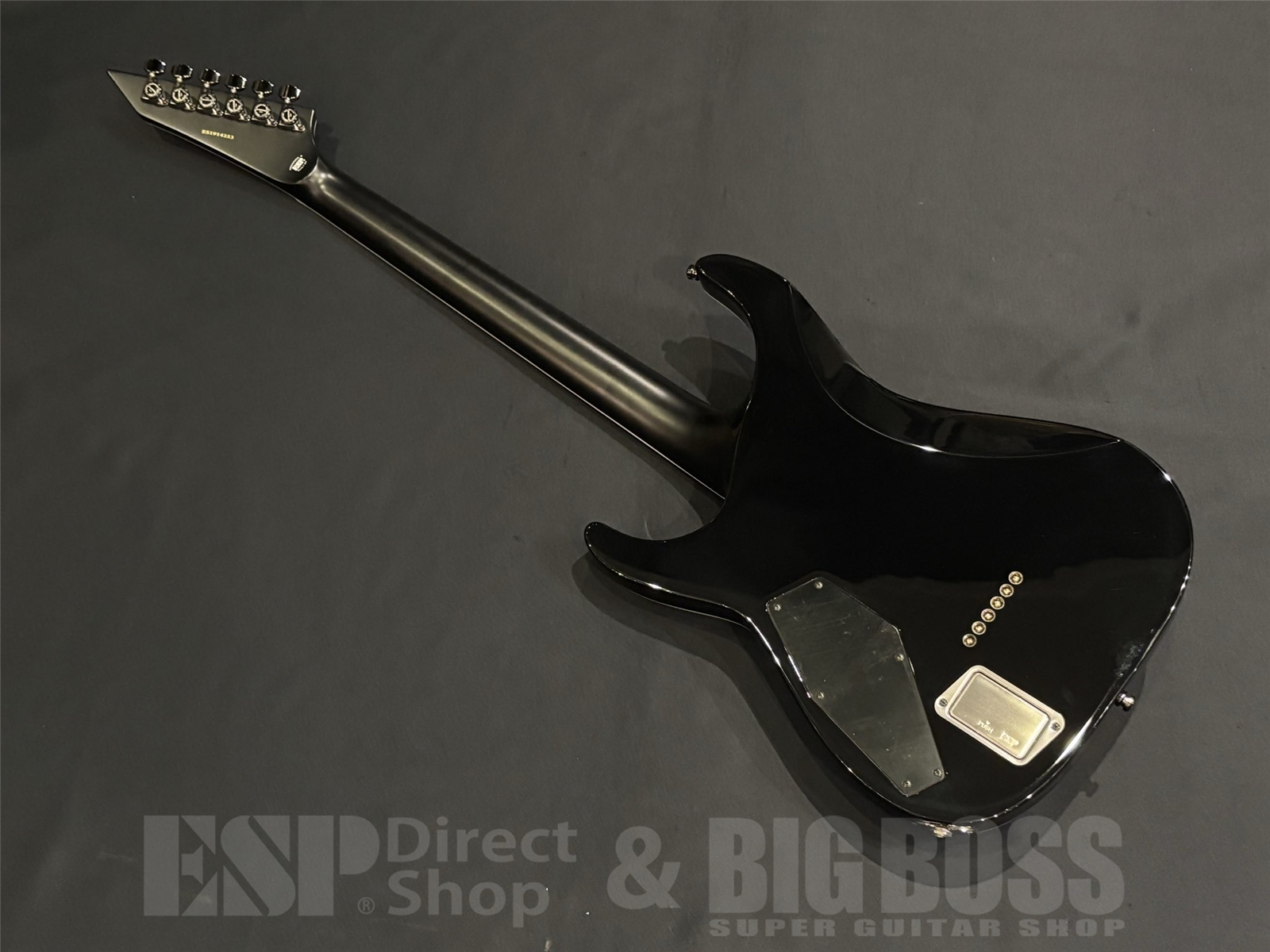 【即納可能】E-II(イーツー) HORIZON NT-II / Blue-Purple Gradation 京都店