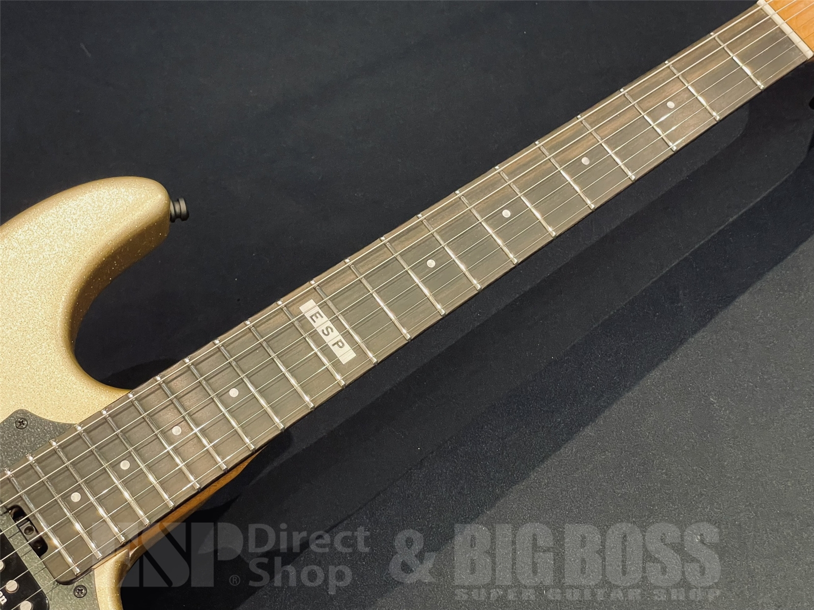 【即納可能】E-II（イーツー）SN-III FLICKER / Champaigne Gold Sparkle Satin 京都店 - 5