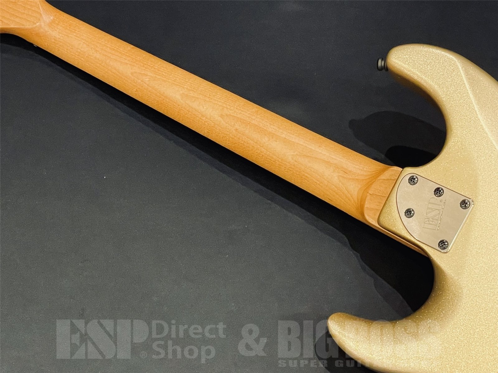 【即納可能】E-II（イーツー）SN-III FLICKER / Champaigne Gold Sparkle Satin 京都店 - 10