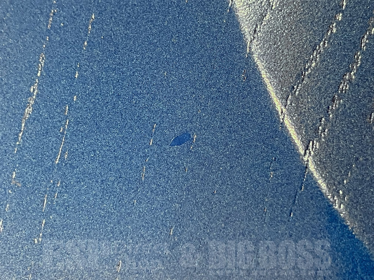 【即納可能/アウトレット】EDWARDS (エドワーズ) E-AMAZE-AS/M / Solid Metallic Blue 京都店