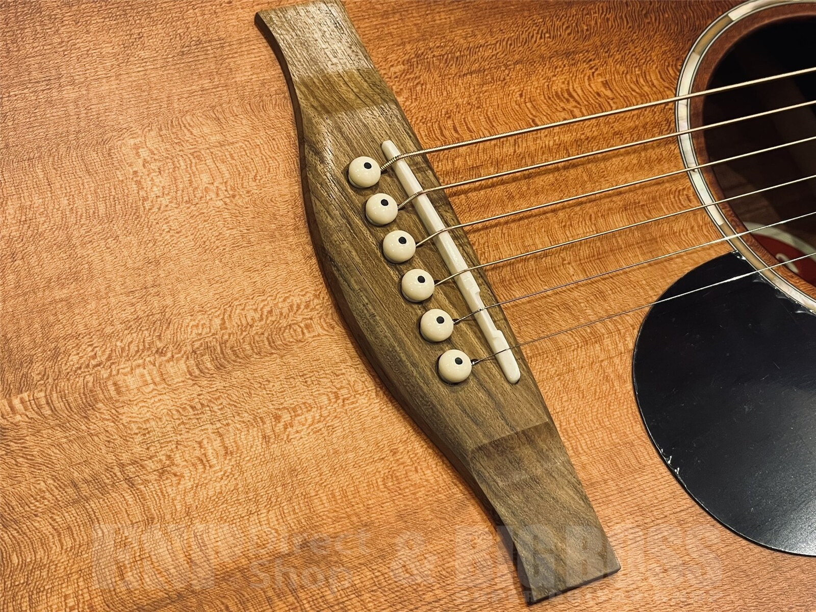 【即納可能】Eastman(イーストマン) PCH1-OM-CLA 京都店 - 4