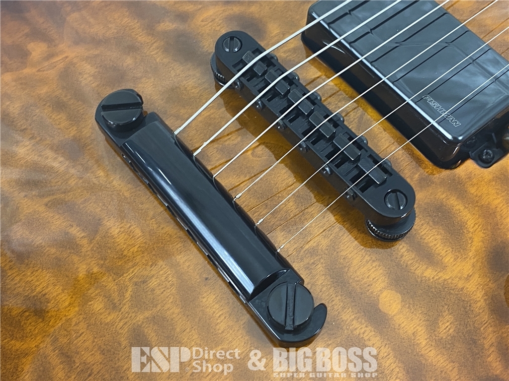 【即納可能】E-II(イーツー) EC QM FL / Tiger Eye Sunburst お茶の水駅前店(東京) - 5
