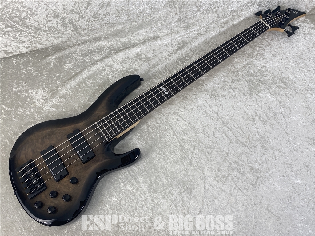 【即納可能】E-II(イーツー) BTL-5 / Black Natural Burst お茶の水駅前店(東京)