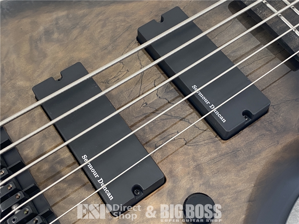 【即納可能】E-II(イーツー) BTL-5 / Black Natural Burst お茶の水駅前店(東京) - 6