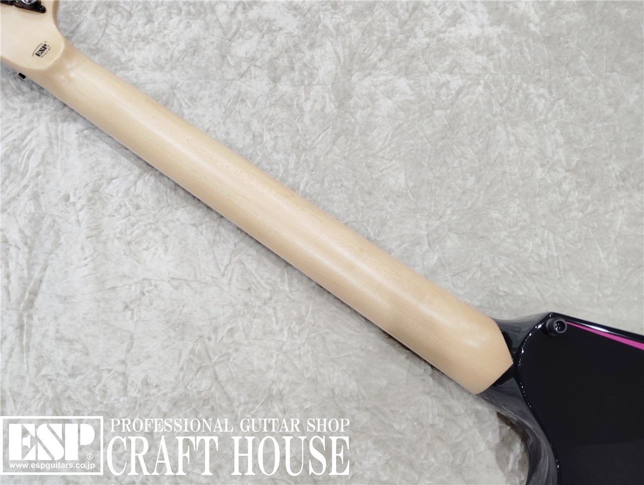 【即納可能】EDWARDS E-ALEXI PINK SAWTOOTH / Black with Pink Pin Stripe　渋谷店