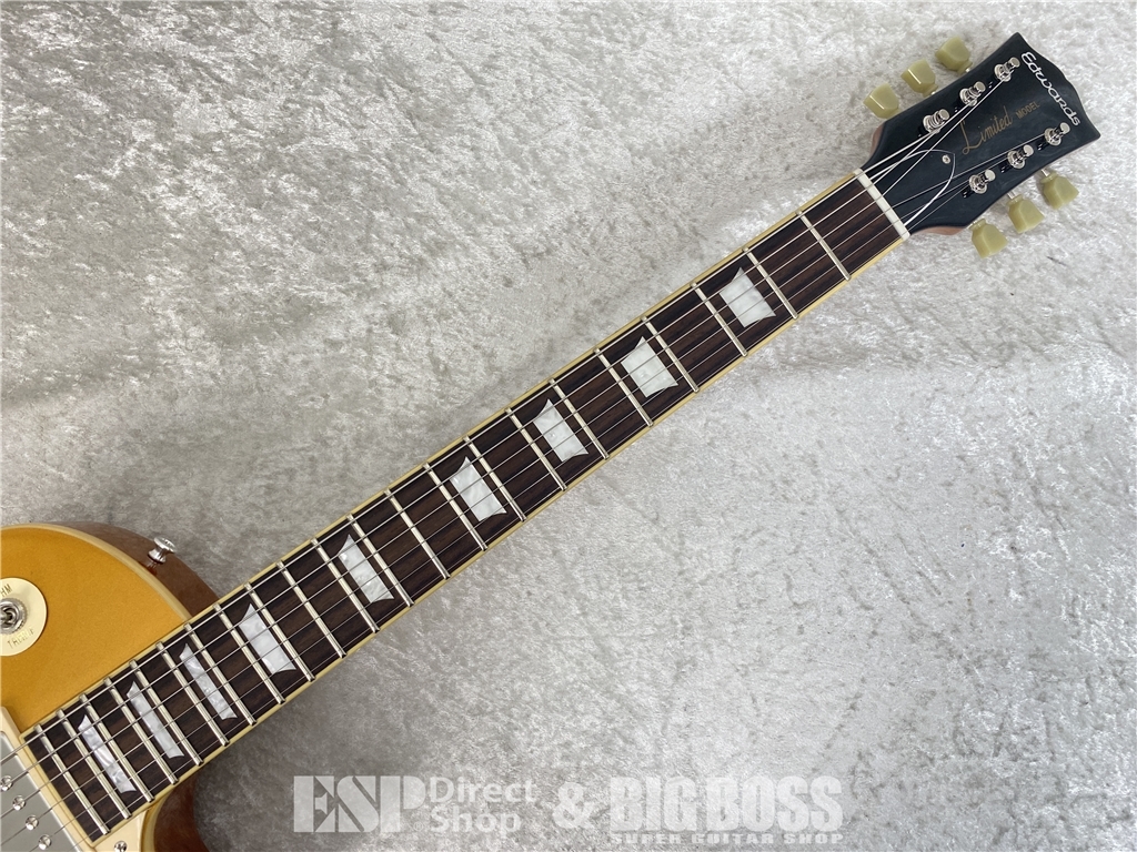 【即納可能】EDWARDS(エドワーズ) E-LP-STD / Gold Top お茶の水駅前店(東京) - 9