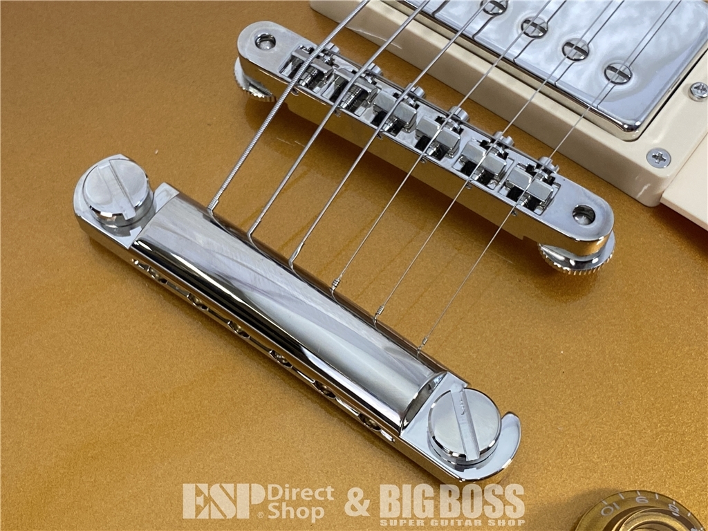 【即納可能】EDWARDS(エドワーズ) E-LP-STD / Gold Top お茶の水駅前店(東京) - 5