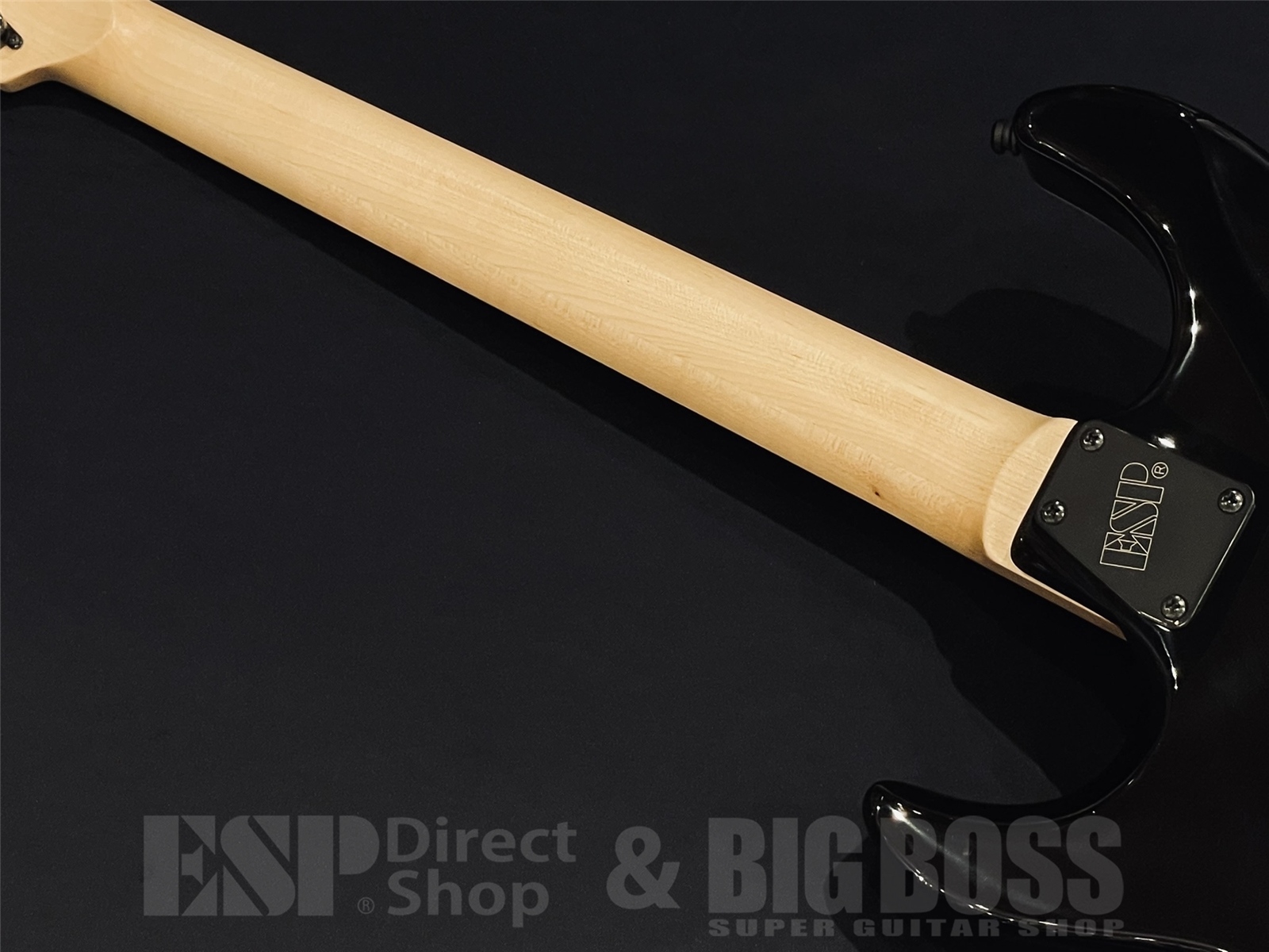 【即納可能】E-II(イーツー) SN-3 / Tiger Eye Sunburst 京都店 - 10