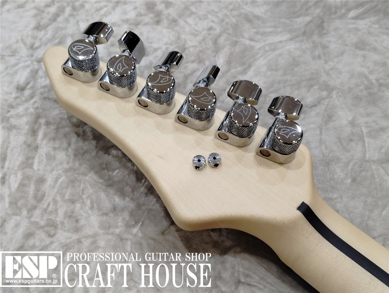 【即納可能】Vigier Guitars Excalibur Custom VE6-CVSP1 / Mysterious Black / Rose / Black Mirror Pickgurd 渋谷店