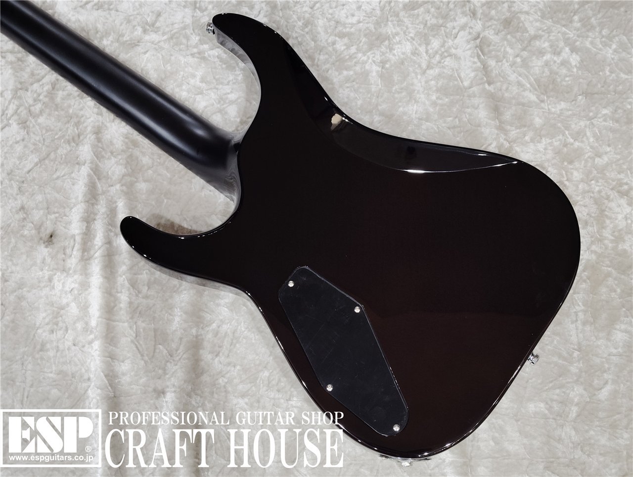 【即納可能】E-II HORIZON NT FM / Dark Brown Sunburst　渋谷店 - 6