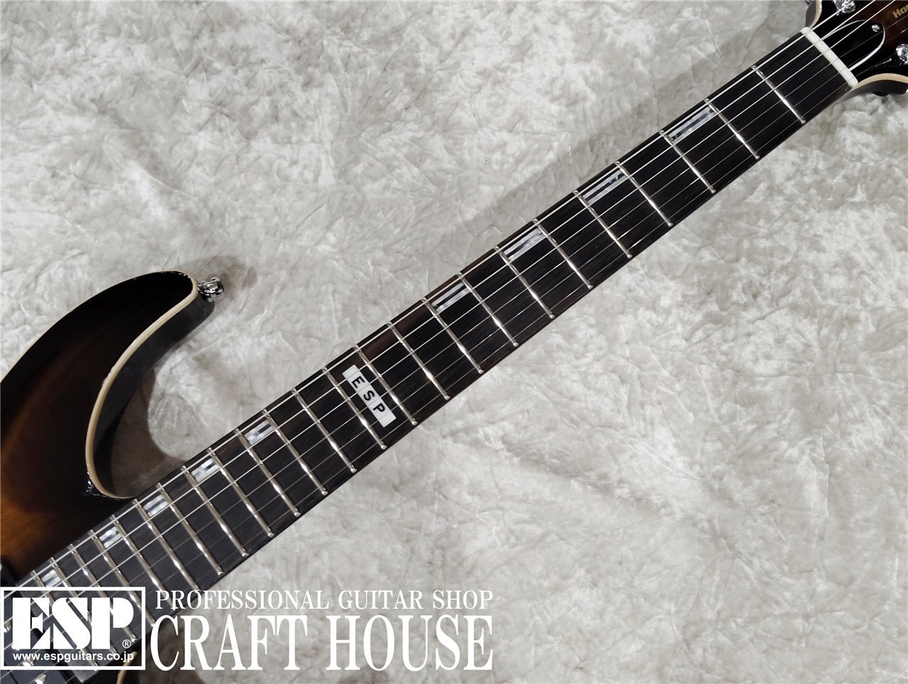 【即納可能】E-II HORIZON NT FM / Dark Brown Sunburst　渋谷店 - 3