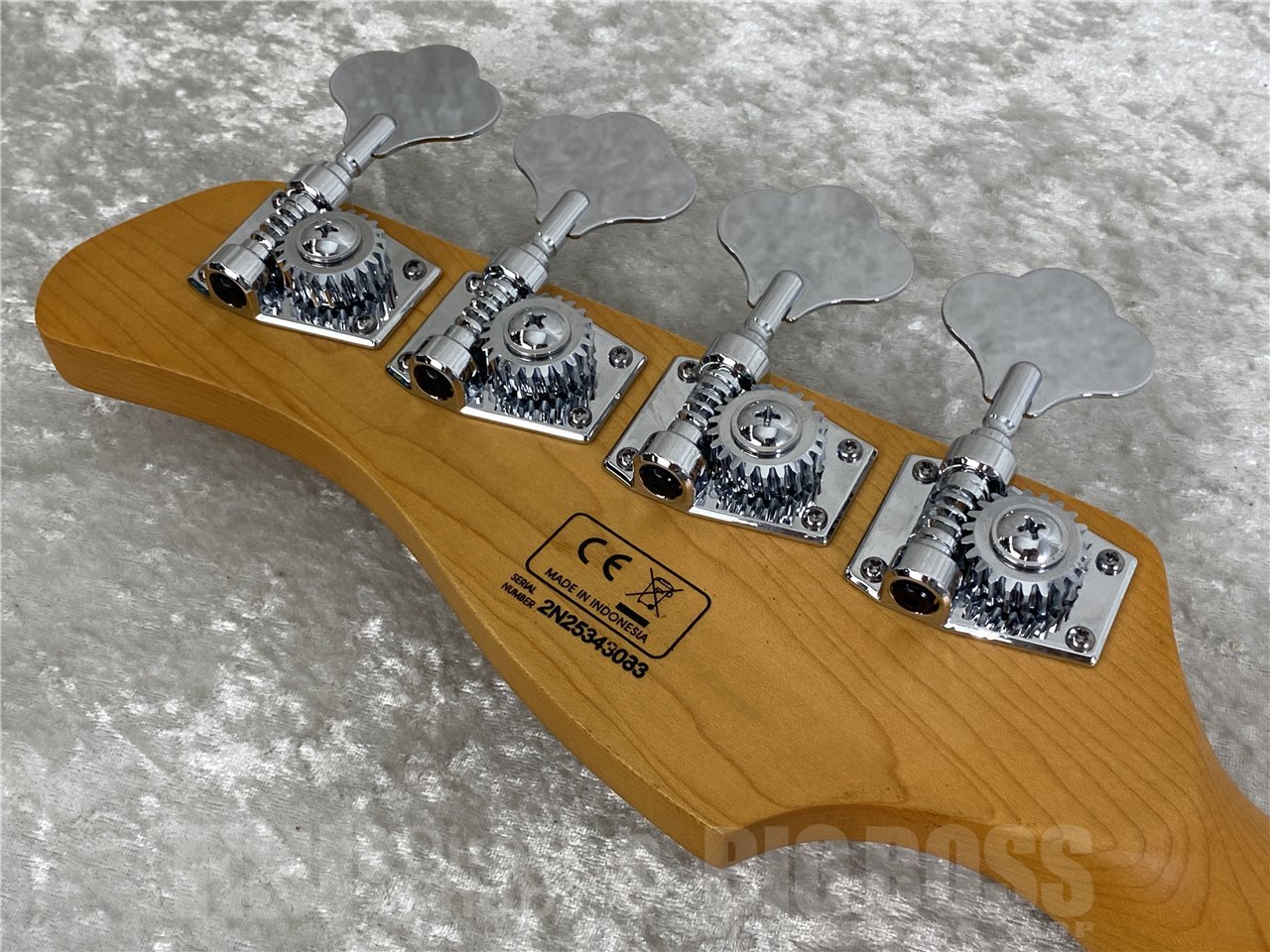 【即納可能】Sire(サイアー) V7 Alder 4st 2nd Generation (Tide Pool) お茶の水駅前店(東京)