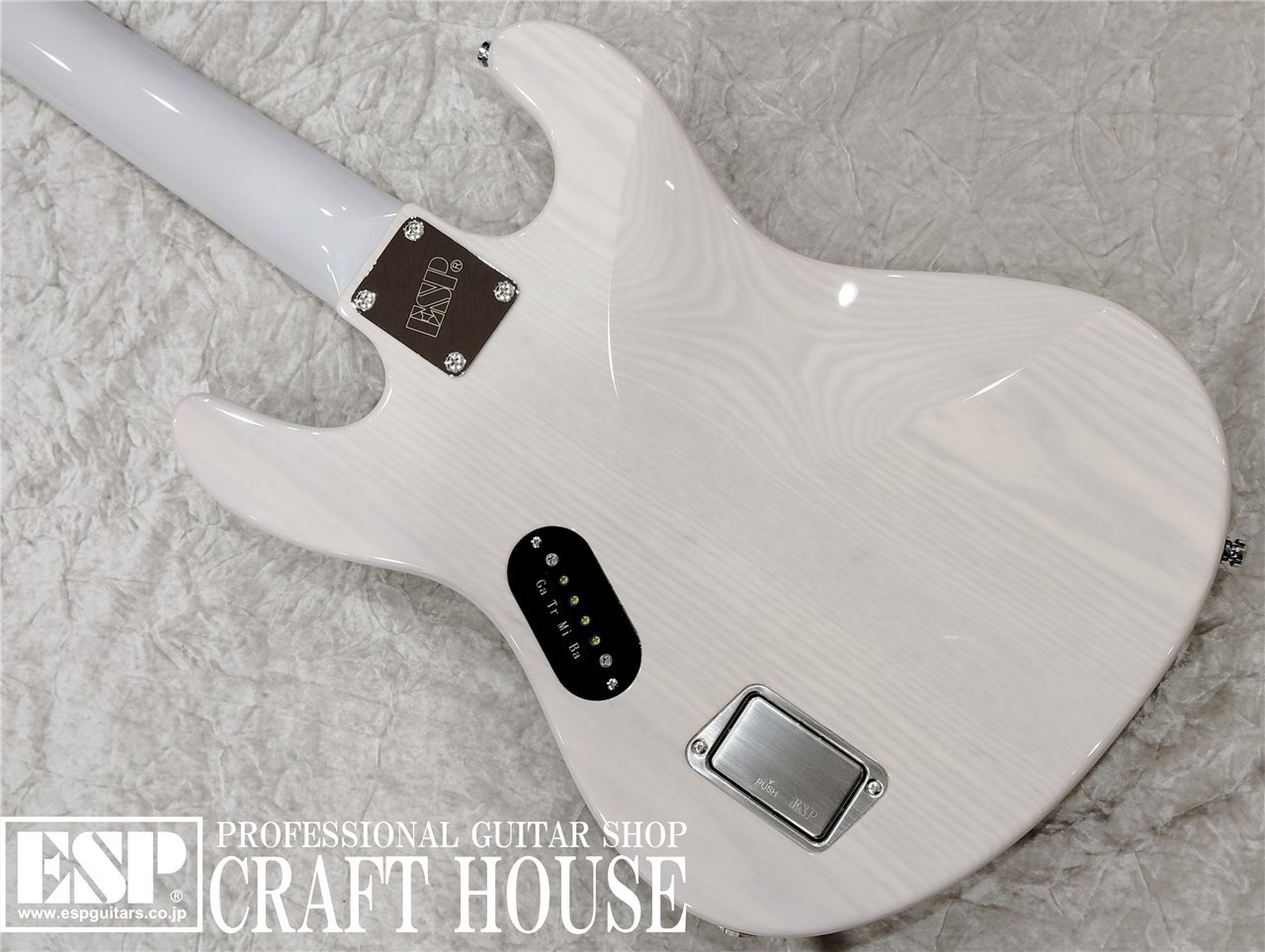 【即納可能】ESP 凛~Lynn~ SID 20th Anniversary Edition 渋谷店