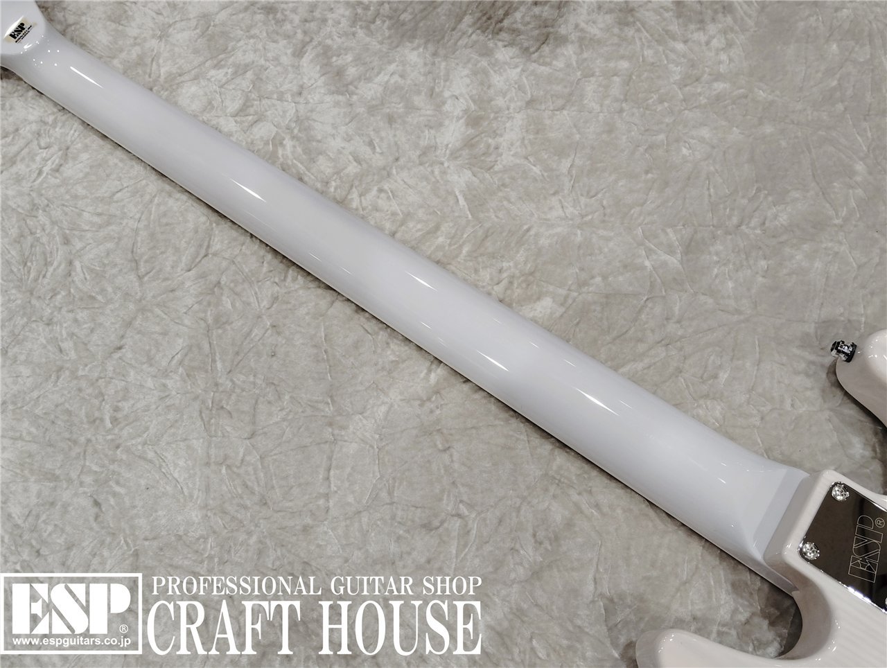 【即納可能】ESP 凛~Lynn~ SID 20th Anniversary Edition 渋谷店