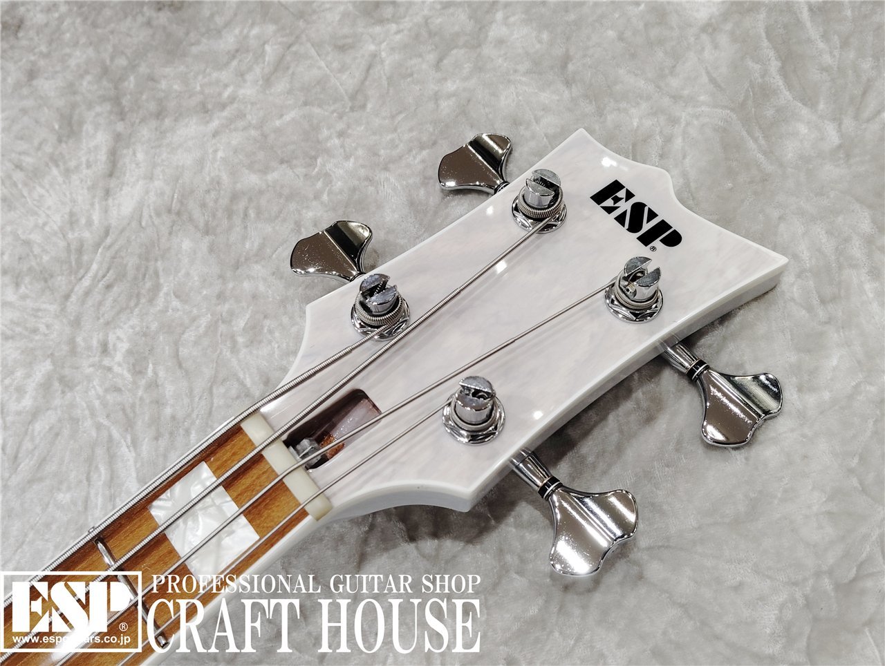 即納可能】ESP 凛～Lynn～ SID 20th Anniversary Edition 渋谷店