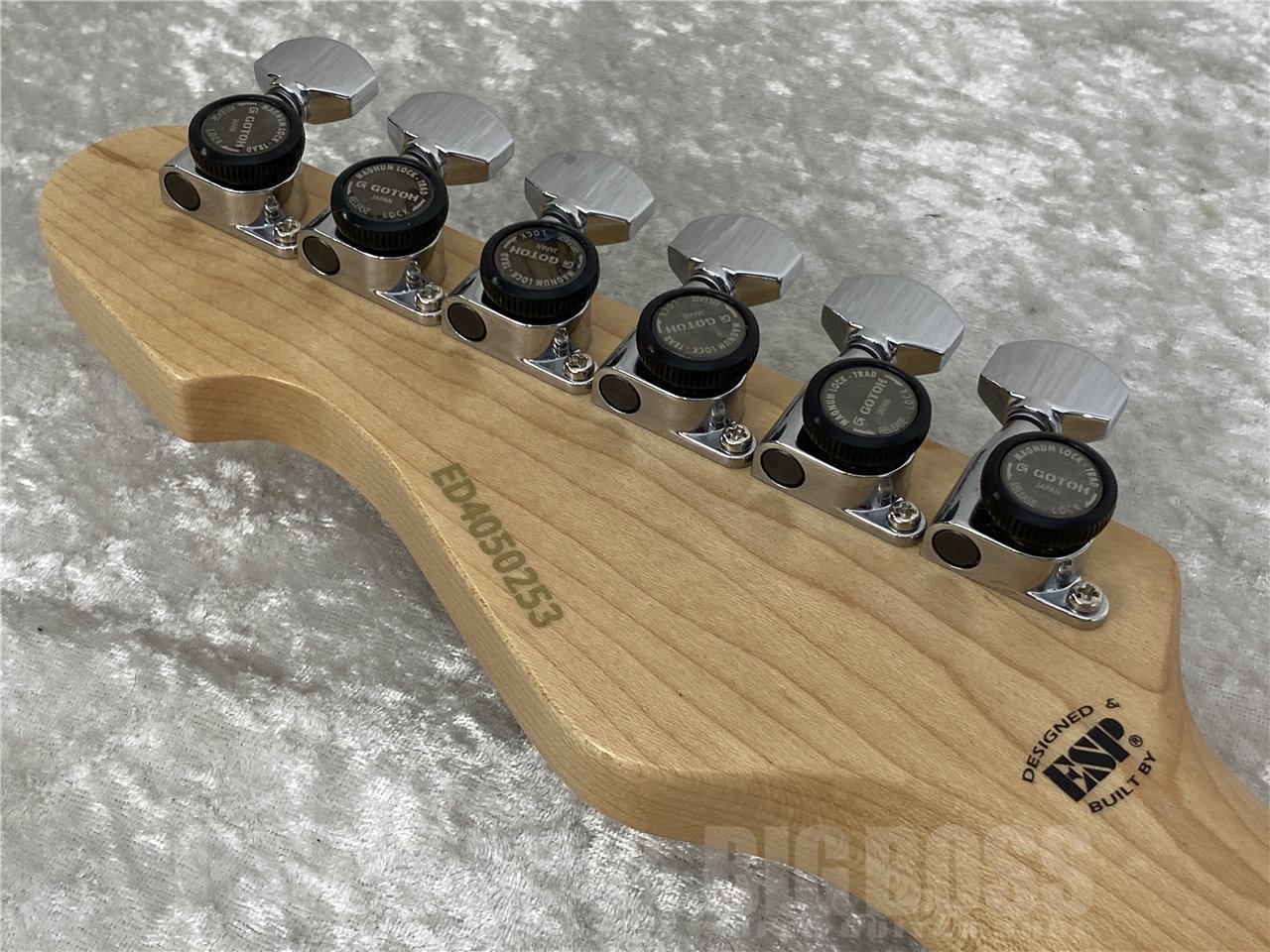 【即納可能】EDWARDS(エドワーズ) E-SNAPPER-AL/R (Candy Apple Red) お茶の水駅前店(東京)