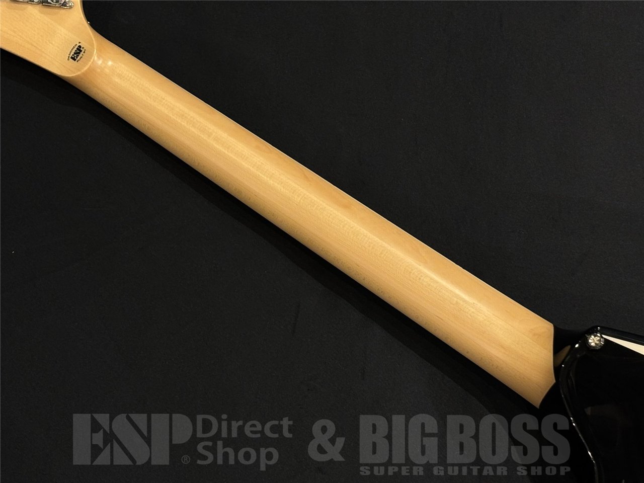 【即納可能】EDWARDS E-ALEXI SAWTOOTH / Black with White Pin Stripe 京都店