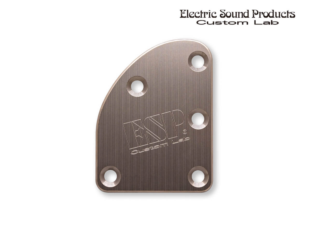 ESP(イーエスピー) Custom Lab T-5 Neck Set Plate Titan Normal (ネックセットプレート)