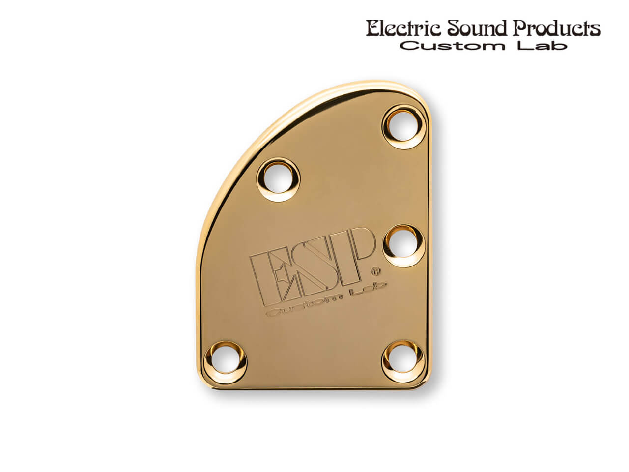 ESP(イーエスピー) Custom Lab T-5 Neck Set Plate Brass Normal Gold (ネックセットプレート)