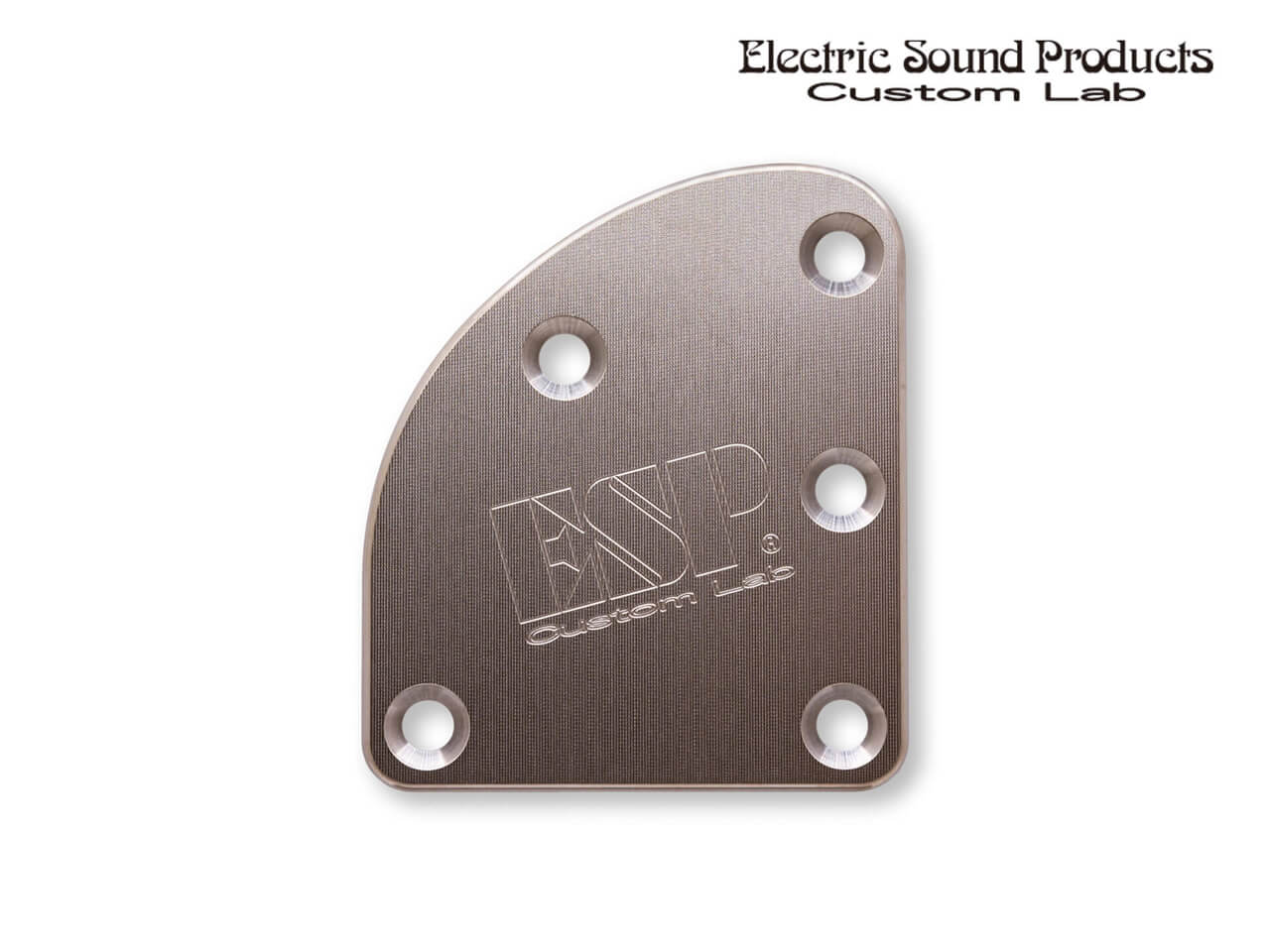 ESP(イーエスピー) Custom Lab T-5 Neck Set Plate Titan Wide (ネックセットプレート)
