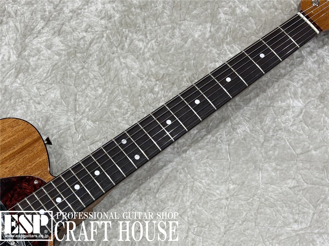 【即納可能】Tokai ATE-103S / Natural 渋谷店