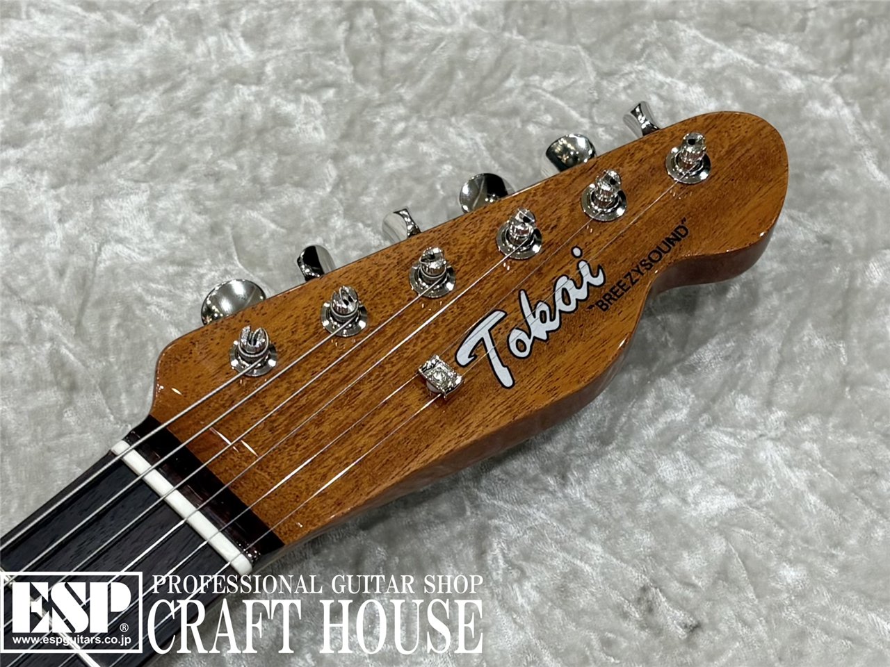 【即納可能】Tokai ATE-103S / Natural 渋谷店