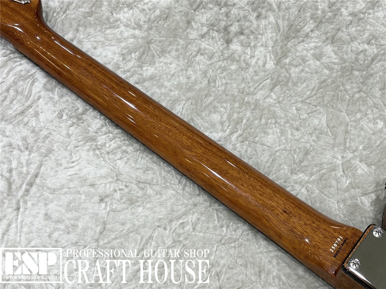 【即納可能】Tokai ATE-103S / Natural 渋谷店