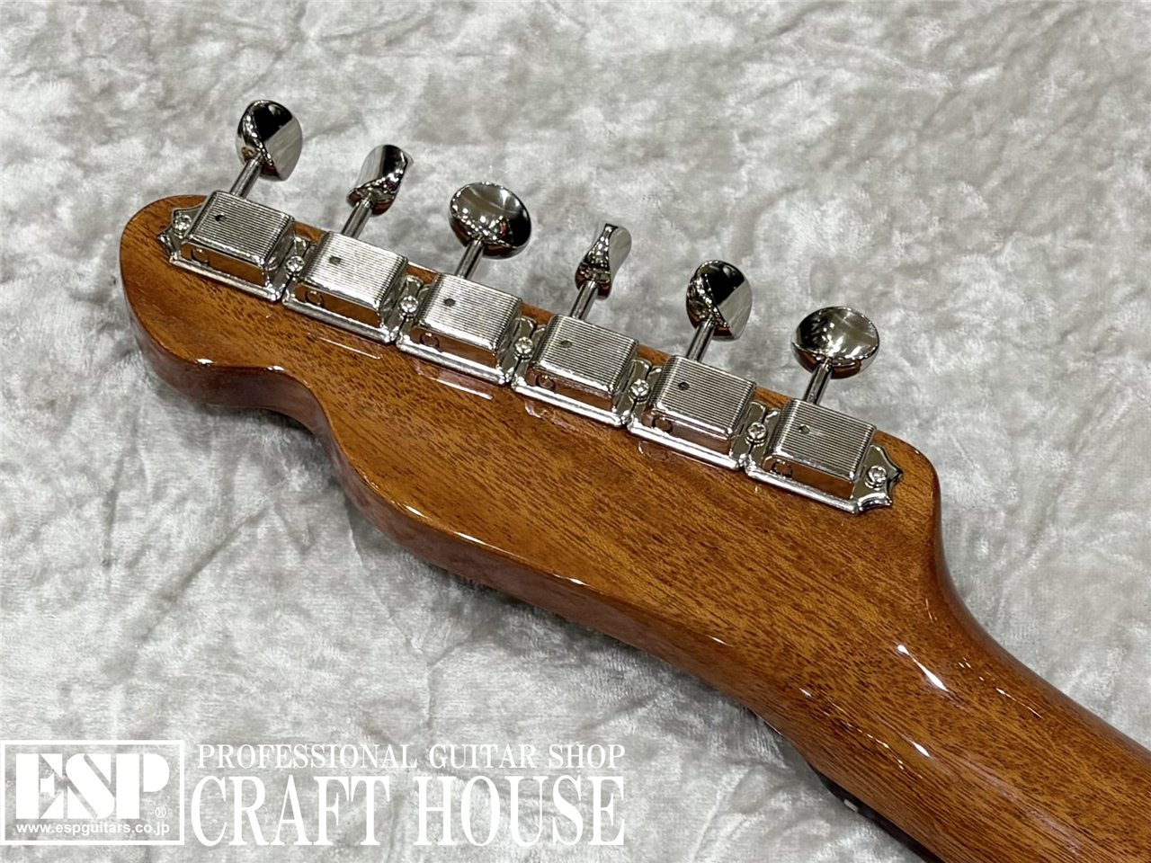 【即納可能】Tokai ATE-103S / Natural 渋谷店