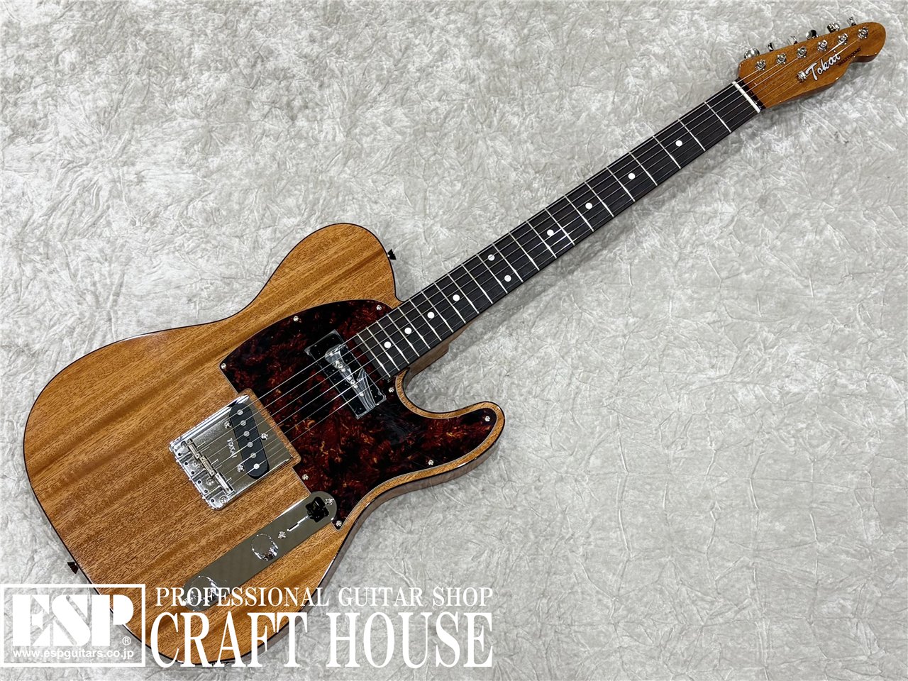 【即納可能】Tokai ATE-103S / Natural　渋谷店