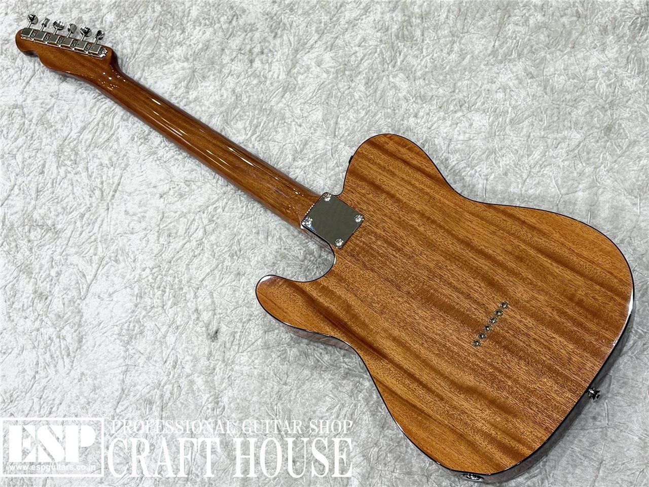 【即納可能】Tokai ATE-103S / Natural 渋谷店